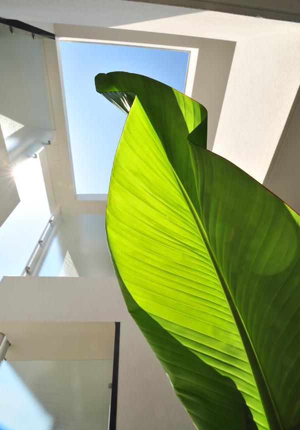 Hotel Eden Park Pau Est, Avec Piscine エクステリア 写真